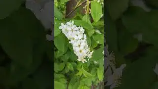 Примета не работает
