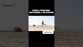 Интуитивный Путь к Гармонии: Стоит ли всегда опираться на Логику?