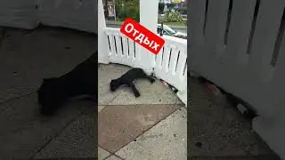 14 сентября 2023 г.