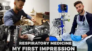 Respiratory Medicine: A Journey Through a Week as a Medical Student