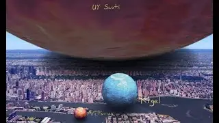 Universe size comparison | 2019