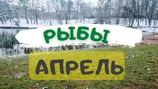 🌷Прогноз  для ♓️ Рыб  АПРЕЛЬ 2022 🌷                                          