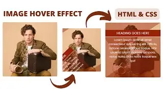 How to create Image Hover Effect Using HTML & CSS