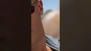 Конор Макгрегор обогнал Вина Дизеля в Форсаже. Conor McGregor #Shorts
