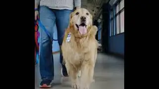 Roswell Park 2024 Big Game Commercial | 