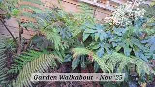 No. 116 - Garden Walkabout Nov '25