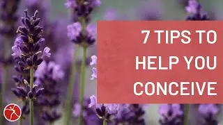 7 Tips to Help You Conceive
