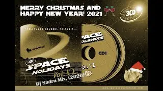 Dj Sadru - Space Holidays vol.12. (2020)
