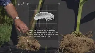 Did you know? Underground pressures can manifest as other symptoms.