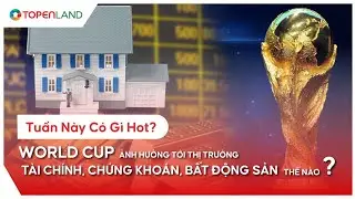 Tuần Này Có Gì Hot? I World Cup Ảnh Hưởng Tới Thị Trường Tài Chính, Chứng Khoán, BĐS Thế Nào?