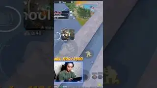 Павлинчик не сразу поняла, что это ты🥺 с большим уважением 🧊и🦚 