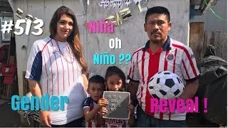SE llego el dia del Gender reveal ! VLOG # 513