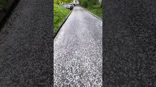 Снег в конце мая в Петербурге?