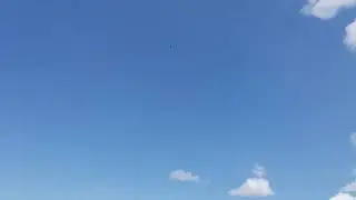 Огромная стая стрижей кормится над полем   20190804 123708