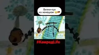 Винни - Пух на ✠НЕМЕЦКОМ языке✠ РЖАКА/  винни-пух на немецком / Песенка Винни-Пуха