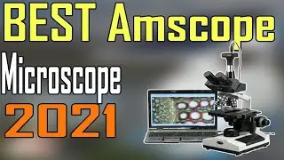 TOP 5 Best Amscope Microscope Review 2021 | Microscope