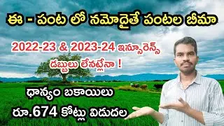 Pantala Bheema Andhra Pradesh - Crop Insurance కోసం E-Panta లో నమోదైతే చాలు - ధాన్యం డబ్బులు విడుదల