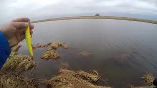 Рыбалка на Алтае сезон по спиннингу закрыл