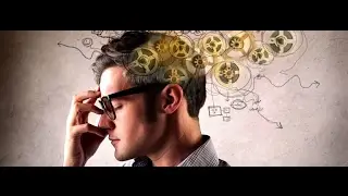 7 фактов о человеке