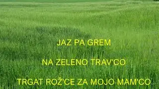JAZ PA GREM NA ZELENO TRAV'CO - Alenka Kolman, pesmi za otroke