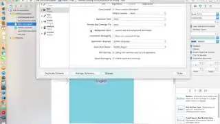 iOS 10 Localization Swift-3 xCode 8