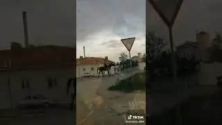 circassian/адыгэ нып/черкесск/черкесы в турции/история черкесов/черкесский язык