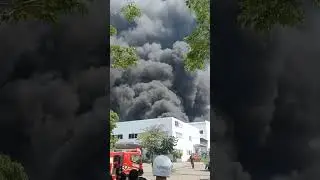 kebakaran di pt frina lestari nusantara