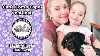 Cane Corso Capo ve Ailesi - Biz Bir Aileyiz Bölüm 28