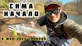 Сима, начало! 6 мая 2023