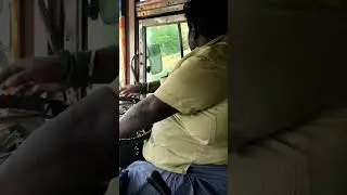 எந்த இடத்திலும்  துணிந்து நில் #trendingvideo #travelshorts #thiruvannamalai #youtubeshorts #cheyyar