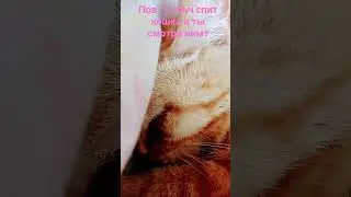 испытание на миллион тысяч♡︎)