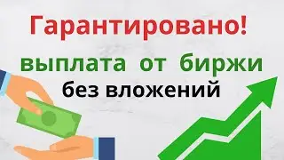 OKX Racer от OKX биржи - обзор прокачка, заработок на телеграмм без вложений, аирдроп криптовалюта