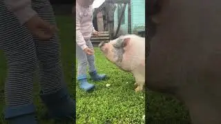 Кормлю Машку #ЯжеВика
