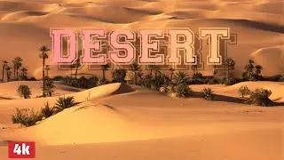 DESERT 4k video | rajasthan desert | copyright free material | relaxing music video | 4k video