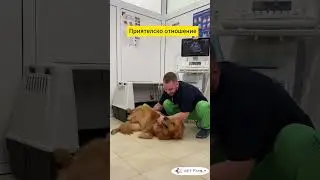Новата ветеринарна клиника Vet Family София