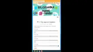 P1.1 Üç sayının toplamı Python Soru Çözümleri