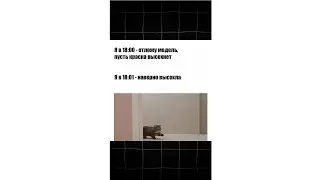 КАК СДЕЛАТЬ НОРМАЛЬНУЮ МОДЕЛЬ? #diorama #shorts #scalemodel