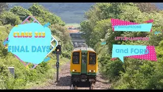 Class 313 Final Days