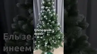 Ель зеленая с инеем