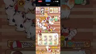 Новый ивент в игре CATIZEN 🐈 notcoin