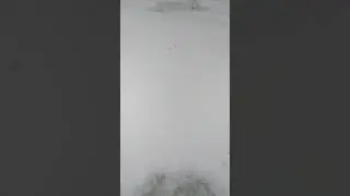 19 декабря 2022 г.