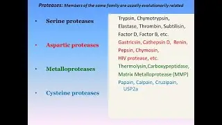 Serine Proteases Mechanism of Action