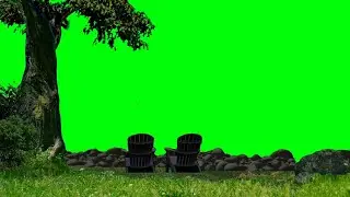 wind blowing tree &  Lounge chairs green screen