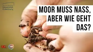 Moor muss nass, aber wie geht das? - Warum Moore so wichtig sind und wie wir sie schützen können