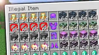 I Destroyed Every Illegal Item in This Minecraft SMP..!