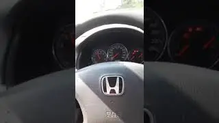 warex ciğerden gelen ses