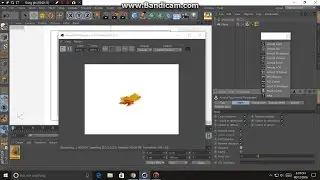 Cinema 4D Tutorial Arnold alpha channel in Cinema 4D