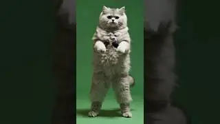 Garo viral