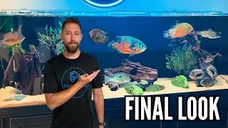 Everything in the Fish Room is About to Change...