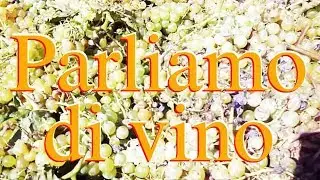 Parliamo di viti e di vino